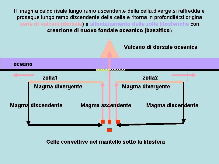 Il magma caldo risale lungo ramo ascendente della cella: diverge, si raffredda e prosegue