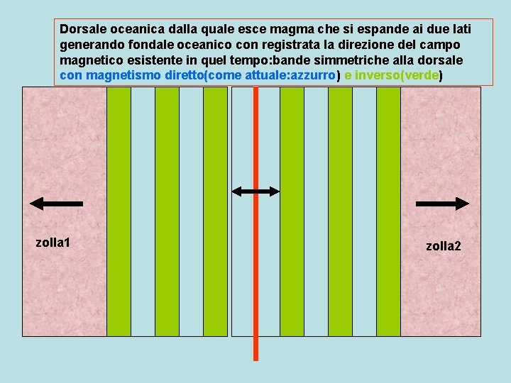 Dorsale oceanica dalla quale esce magma che si espande ai due lati generando fondale