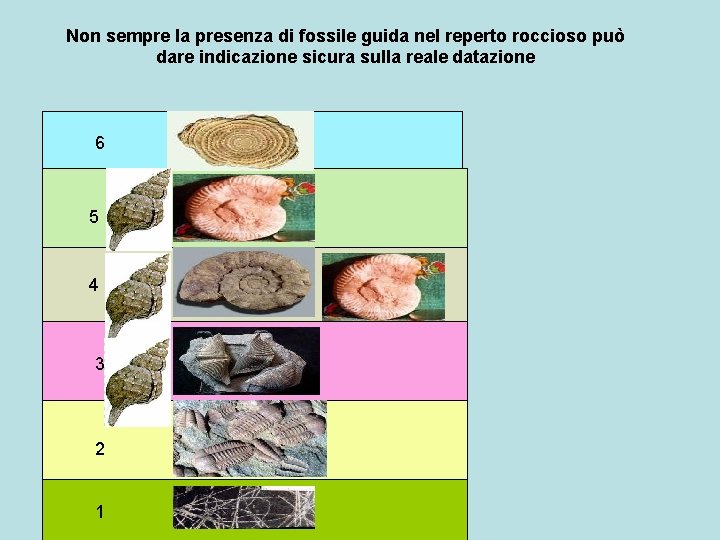 Non sempre la presenza di fossile guida nel reperto roccioso può dare indicazione sicura