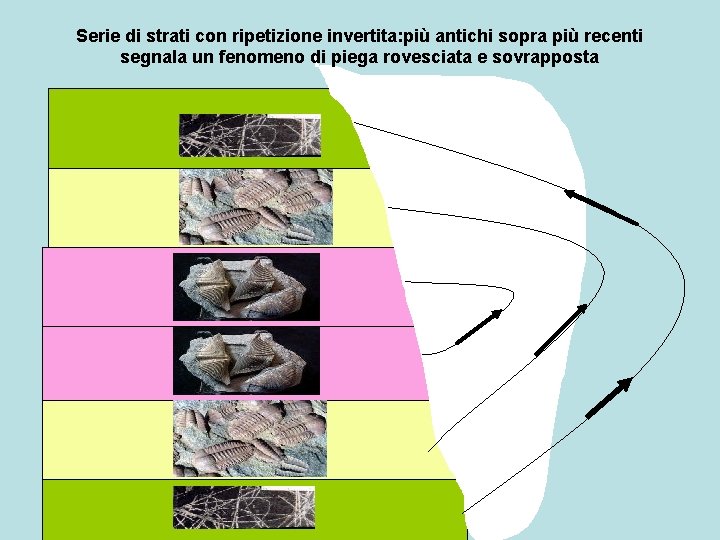 Serie di strati con ripetizione invertita: più antichi sopra più recenti segnala un fenomeno