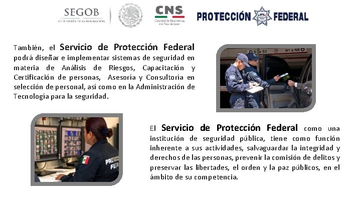 También, el Servicio de Protección Federal podrá diseñar e implementar sistemas de seguridad en