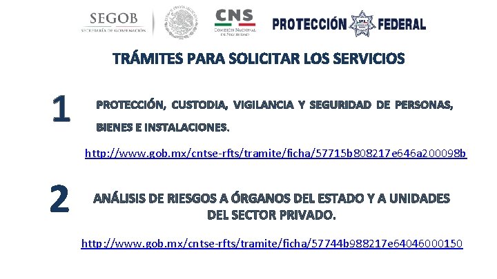 TRÁMITES PARA SOLICITAR LOS SERVICIOS 1 PROTECCIÓN, CUSTODIA, VIGILANCIA Y SEGURIDAD DE PERSONAS, BIENES