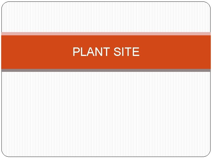PLANT SITE 