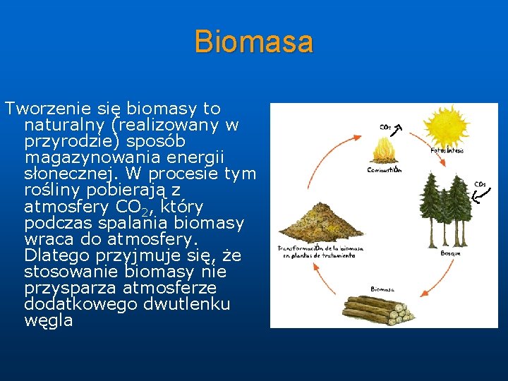 Biomasa Tworzenie się biomasy to naturalny (realizowany w przyrodzie) sposób magazynowania energii słonecznej. W