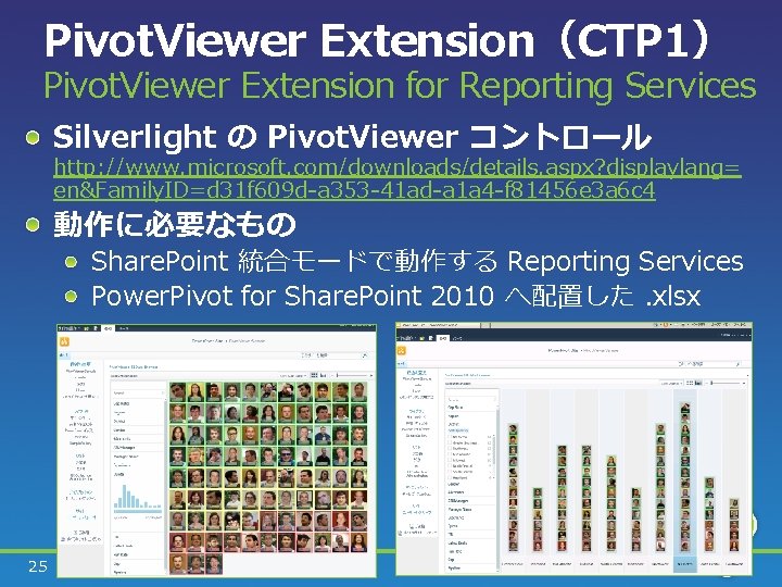 Pivot. Viewer Extension（CTP 1） Pivot. Viewer Extension for Reporting Services Silverlight の Pivot. Viewer