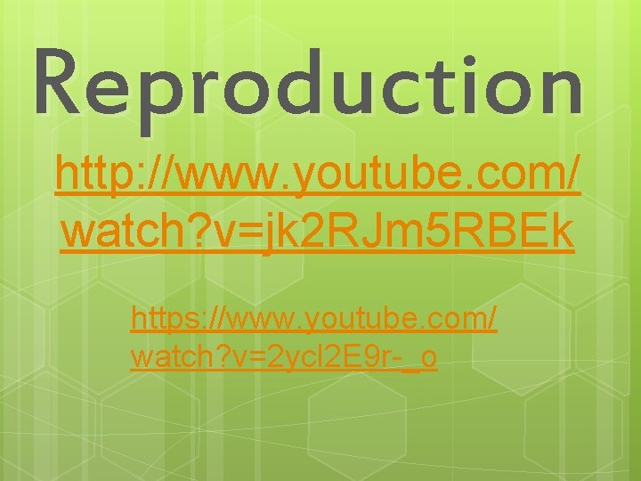 Reproduction http: //www. youtube. com/ watch? v=jk 2 RJm 5 RBEk https: //www. youtube.