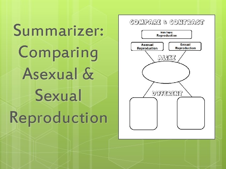 Summarizer: Comparing Asexual & Sexual Reproduction 