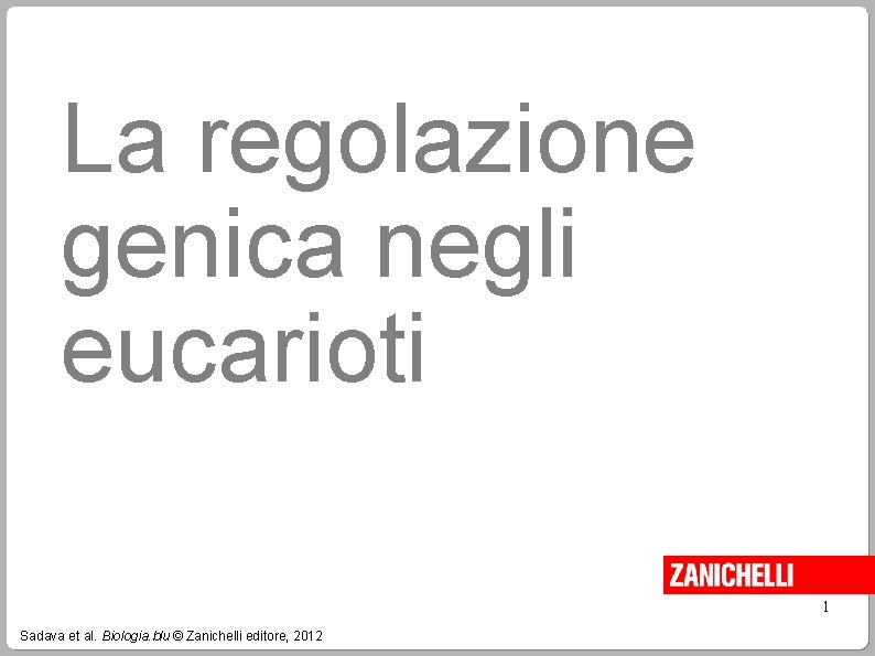 La regolazione genica negli eucarioti 1 Sadava et al. Biologia. blu © Zanichelli editore,
