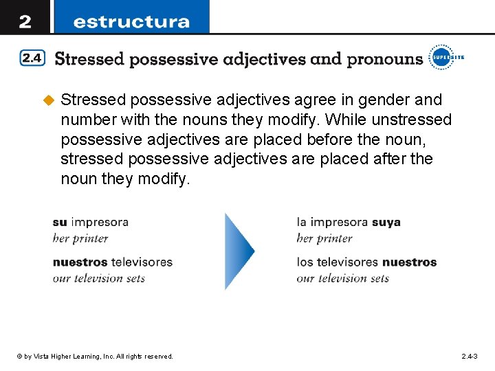 u Stressed possessive adjectives agree in gender and number with the nouns they modify. u Stressed possessive adjectives agree in gender and number with the nouns they modify.
