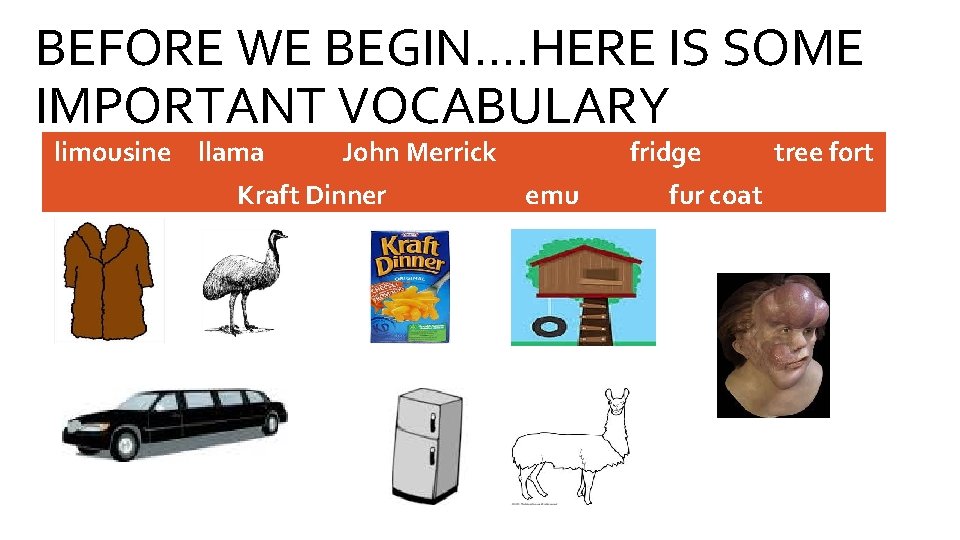 BEFORE WE BEGIN…. HERE IS SOME IMPORTANT VOCABULARY limousine llama John Merrick Kraft Dinner