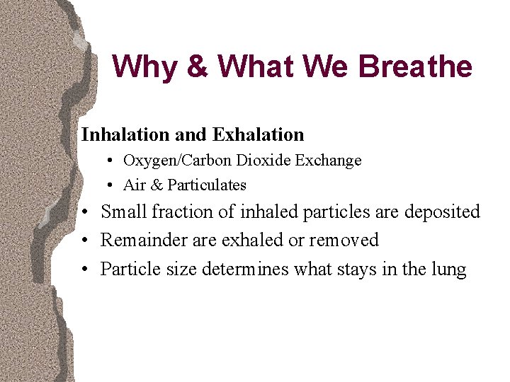 Why & What We Breathe Inhalation and Exhalation • Oxygen/Carbon Dioxide Exchange • Air