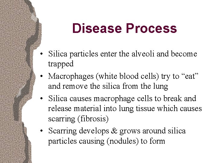 Disease Process • Silica particles enter the alveoli and become trapped • Macrophages (white