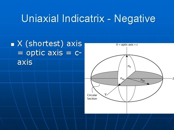Uniaxial Indicatrix - Negative n X (shortest) axis = optic axis = caxis Uniaxial Indicatrix - Negative n X (shortest) axis = optic axis = caxis