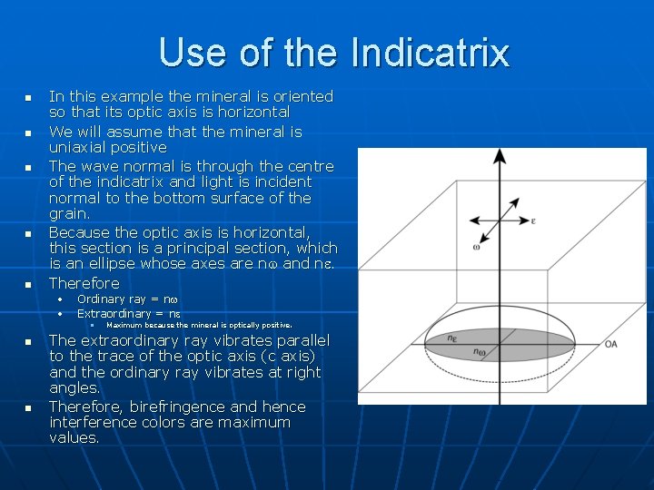 Use of the Indicatrix n n n In this example the mineral is oriented Use of the Indicatrix n n n In this example the mineral is oriented