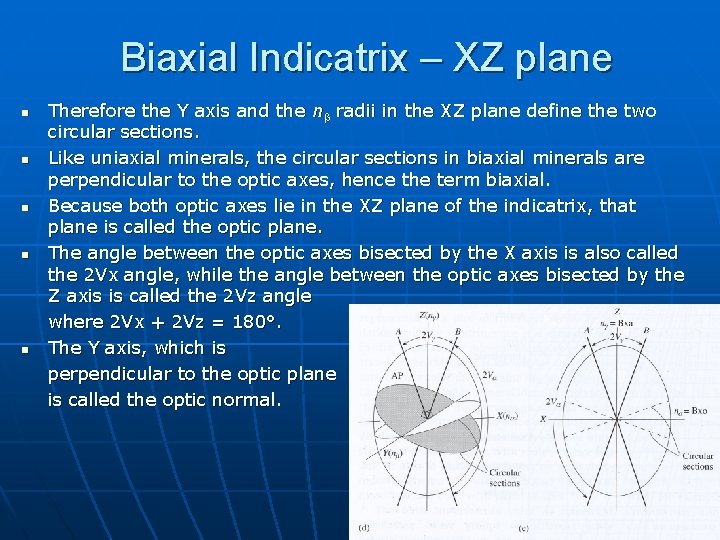 Biaxial Indicatrix – XZ plane n n n Therefore the Y axis and the Biaxial Indicatrix – XZ plane n n n Therefore the Y axis and the
