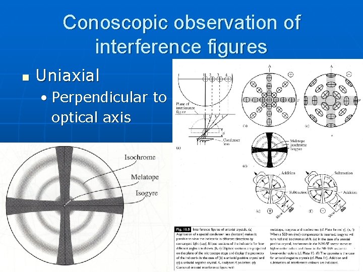 Conoscopic observation of interference figures n Uniaxial • Perpendicular to optical axis Conoscopic observation of interference figures n Uniaxial • Perpendicular to optical axis