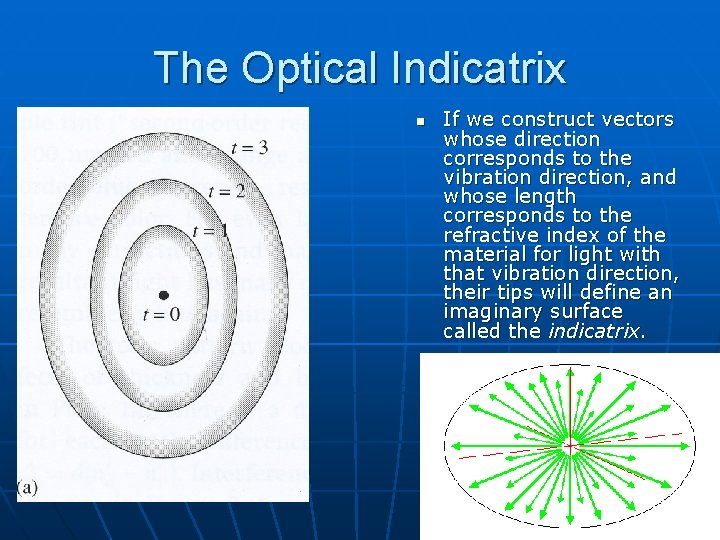 The Optical Indicatrix n If we construct vectors whose direction corresponds to the vibration The Optical Indicatrix n If we construct vectors whose direction corresponds to the vibration