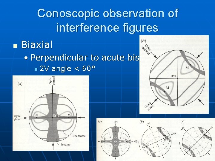 Conoscopic observation of interference figures n Biaxial • Perpendicular to acute bisectrix n 2 Conoscopic observation of interference figures n Biaxial • Perpendicular to acute bisectrix n 2