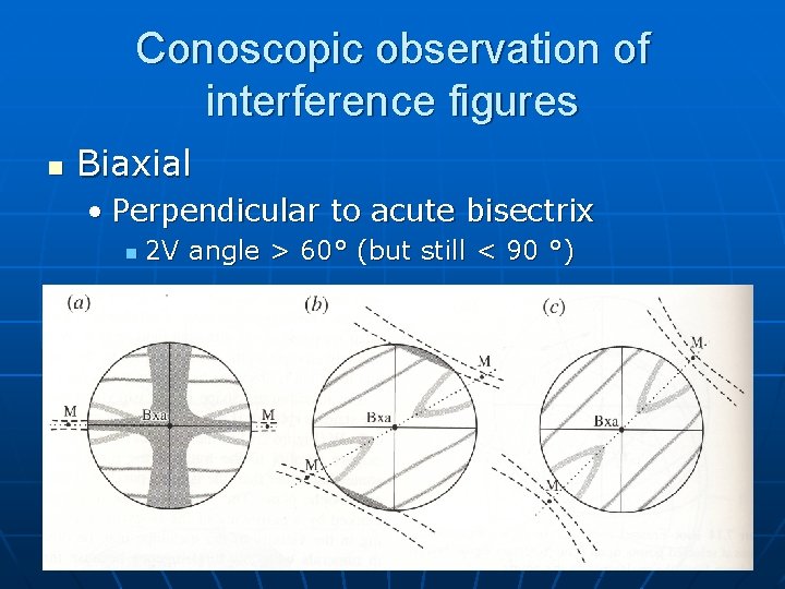 Conoscopic observation of interference figures n Biaxial • Perpendicular to acute bisectrix n 2 Conoscopic observation of interference figures n Biaxial • Perpendicular to acute bisectrix n 2