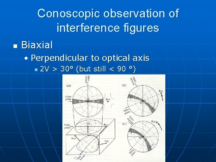 Conoscopic observation of interference figures n Biaxial • Perpendicular to optical axis n 2 Conoscopic observation of interference figures n Biaxial • Perpendicular to optical axis n 2
