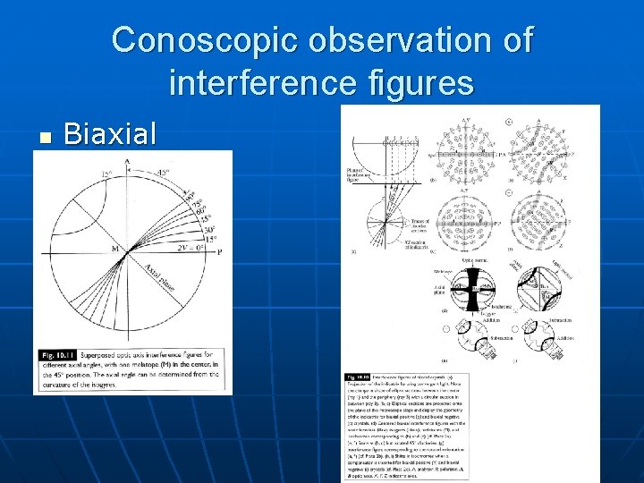 Conoscopic observation of interference figures n Biaxial Conoscopic observation of interference figures n Biaxial