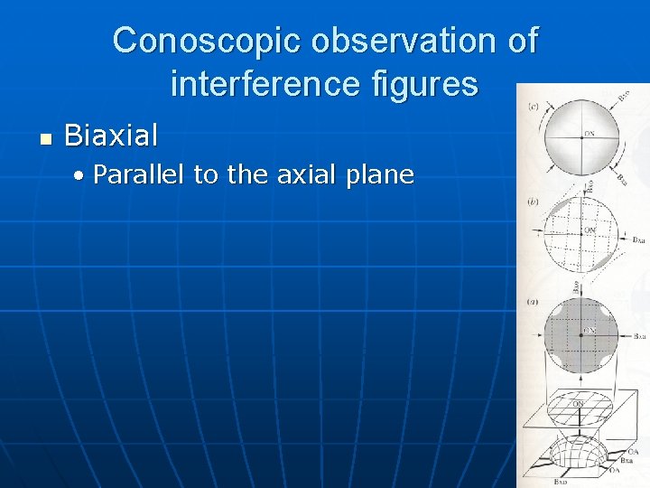 Conoscopic observation of interference figures n Biaxial • Parallel to the axial plane Conoscopic observation of interference figures n Biaxial • Parallel to the axial plane