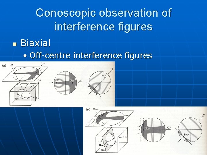 Conoscopic observation of interference figures n Biaxial • Off-centre interference figures Conoscopic observation of interference figures n Biaxial • Off-centre interference figures