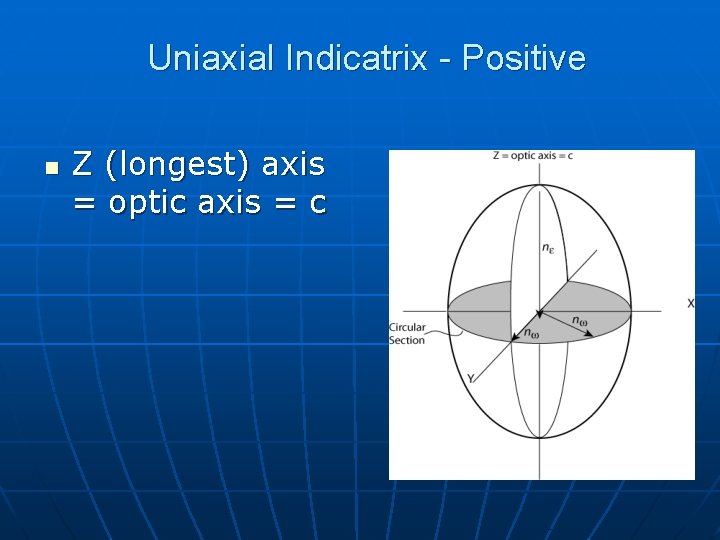 Uniaxial Indicatrix - Positive n Z (longest) axis = optic axis = c Uniaxial Indicatrix - Positive n Z (longest) axis = optic axis = c