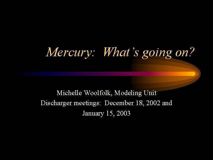 Mercury: What’s going on? Michelle Woolfolk, Modeling Unit Discharger meetings: December 18, 2002 and