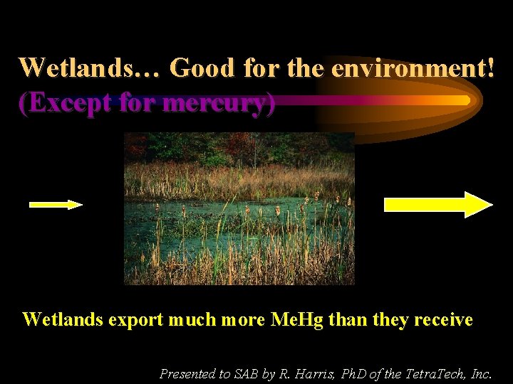 Wetlands… Good for the environment! (Except for mercury) Me. Hg In More Me. Hg