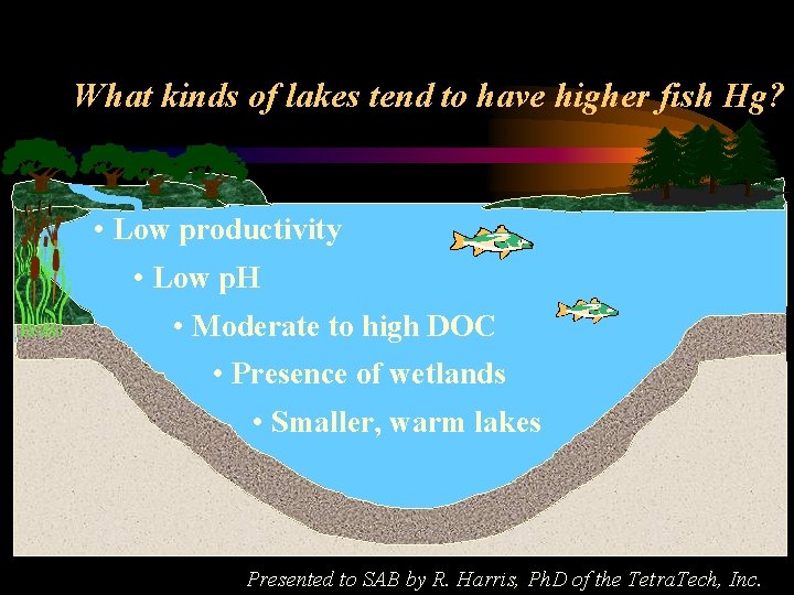 What kinds of lakes tend to have higher fish Hg? • Low productivity •