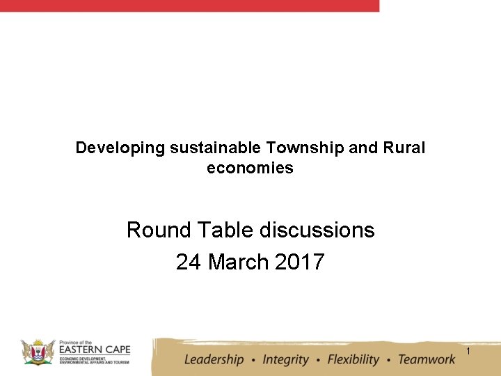 Developing sustainable Township and Rural economies Round Table discussions 24 March 2017 1 
