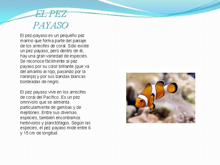 EL PEZ PAYASO El pez-payaso es un pequeño pez marino que forma parte del