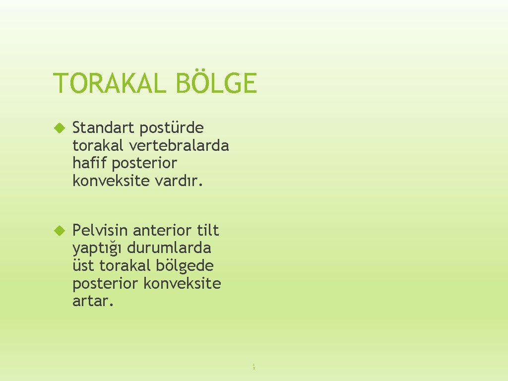 TORAKAL BÖLGE Standart postürde torakal vertebralarda hafif posterior konveksite vardır. Pelvisin anterior tilt yaptığı