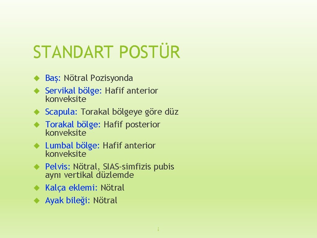 STANDART POSTÜR Baş: Nötral Pozisyonda Servikal bölge: Hafif anterior konveksite Scapula: Torakal bölgeye göre