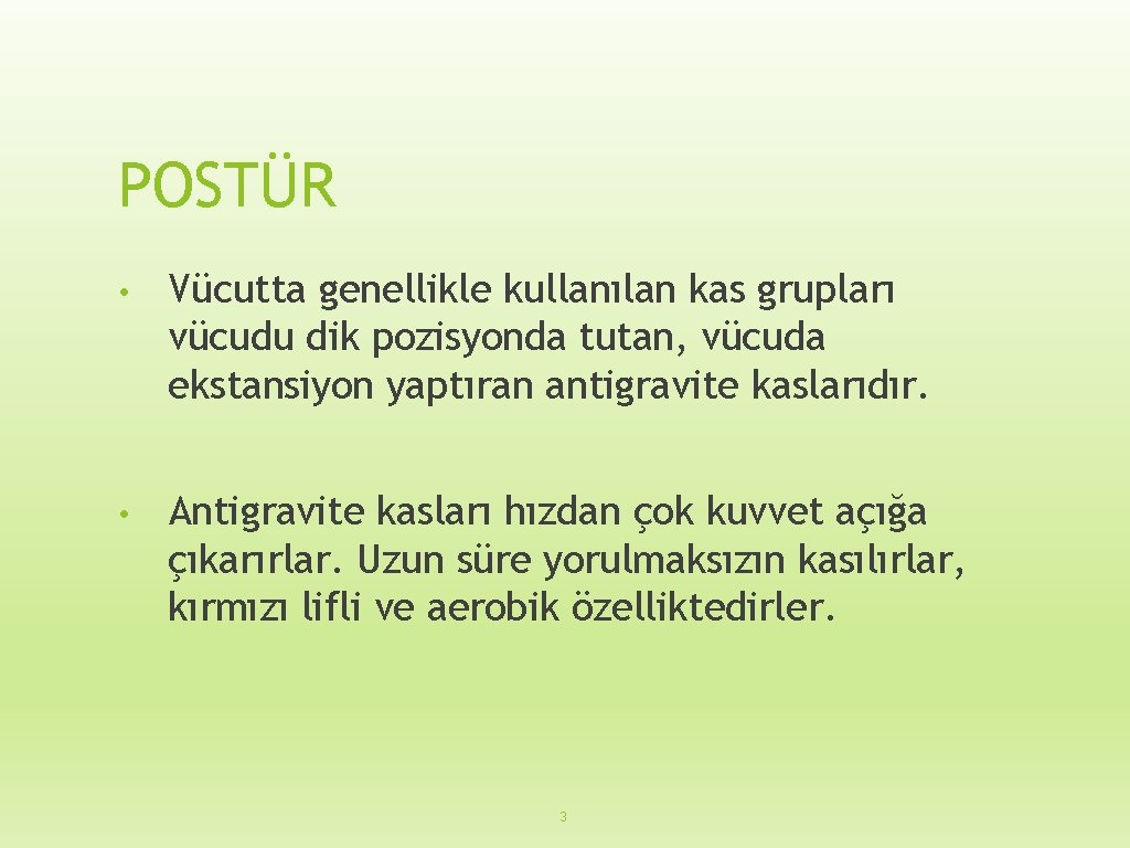 POSTÜR • Vücutta genellikle kullanılan kas grupları vücudu dik pozisyonda tutan, vücuda ekstansiyon yaptıran