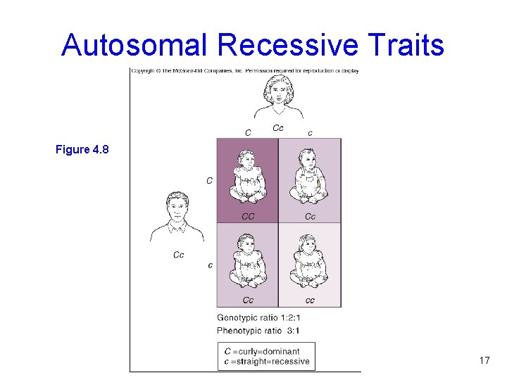 Autosomal Recessive Traits Figure 4. 8 17 
