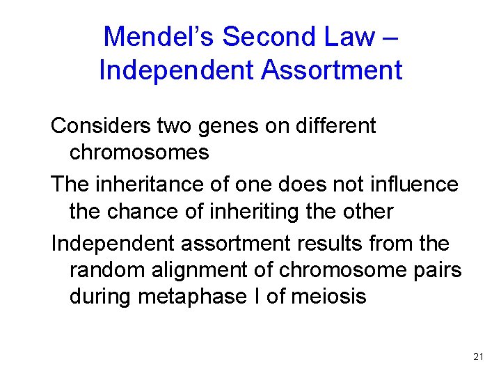 Mendel’s Second Law – Independent Assortment Considers two genes on different chromosomes The inheritance