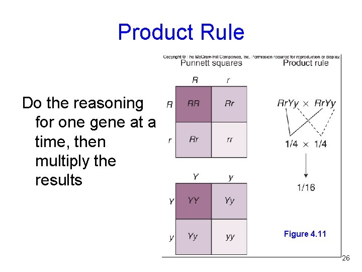 Product Rule Do the reasoning for one gene at a time, then multiply the