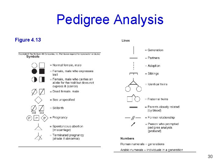 Pedigree Analysis Figure 4. 13 30 