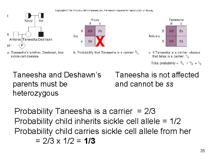 X Taneesha and Deshawn’s parents must be heterozygous Taneesha is not affected and cannot