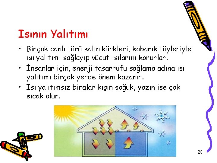 Isının Yalıtımı • Birçok canlı türü kalın kürkleri, kabarık tüyleriyle ısı yalıtımı sağlayıp vücut