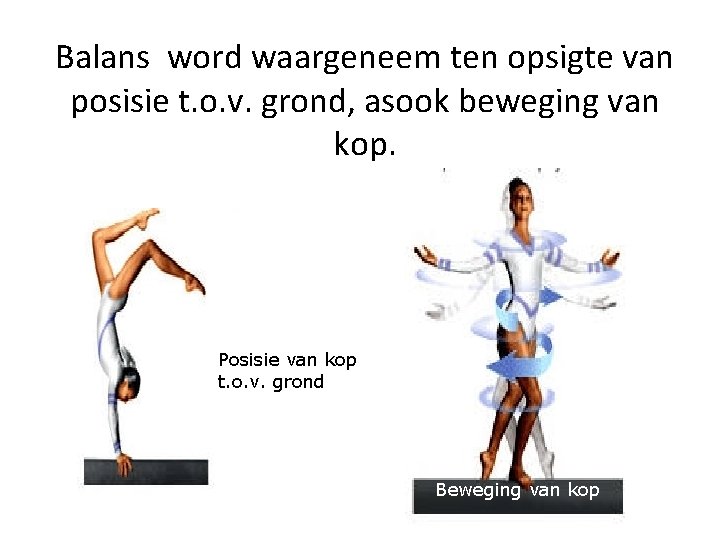 Balans word waargeneem ten opsigte van posisie t. o. v. grond, asook beweging van