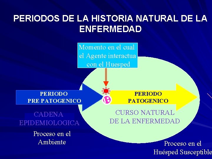 PERIODOS DE LA HISTORIA NATURAL DE LA ENFERMEDAD Momento en el cual el Agente
