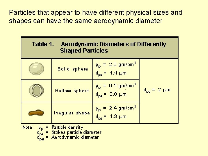 Particles that appear to have different physical sizes and shapes can have the same