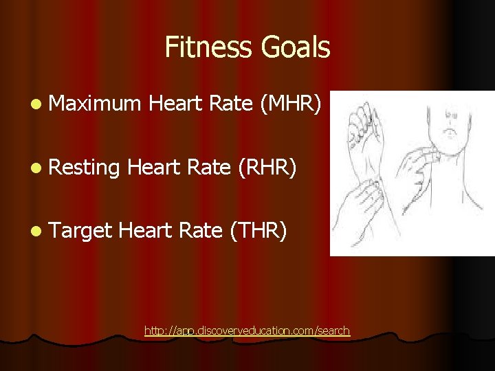 Fitness Goals l Maximum l Resting l Target Heart Rate (MHR) Heart Rate (RHR)