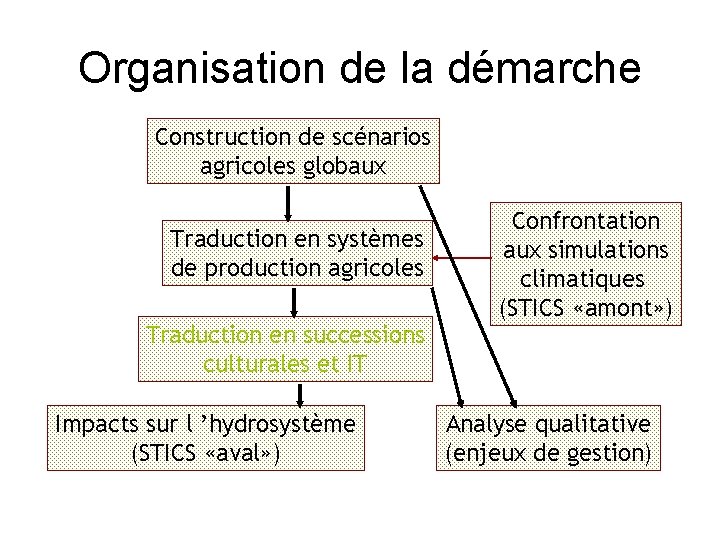 Organisation de la démarche Construction de scénarios agricoles globaux Traduction en systèmes de production