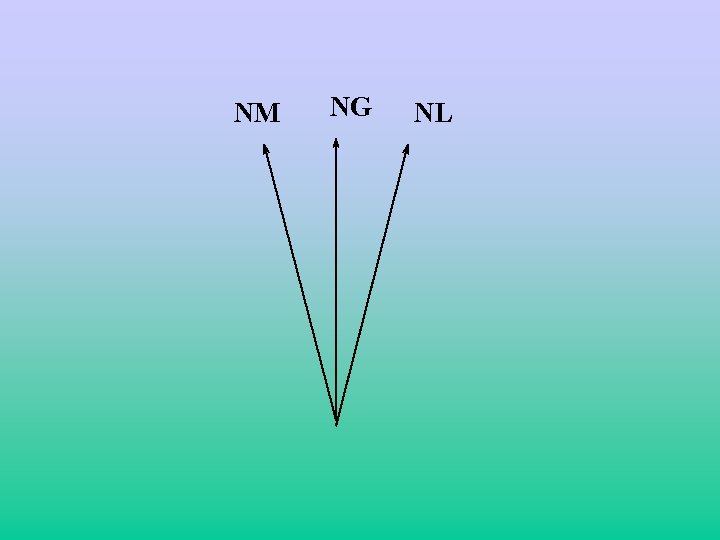 NM NG NL 