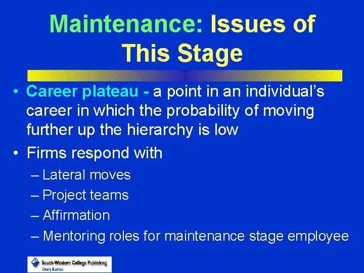 Maintenance: Issues of This Stage • Career plateau - a point in an individual’s