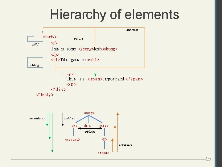 Hierarchy of elements ancestor child <body> parent <p> This is some <strong>text</strong> </p> <h